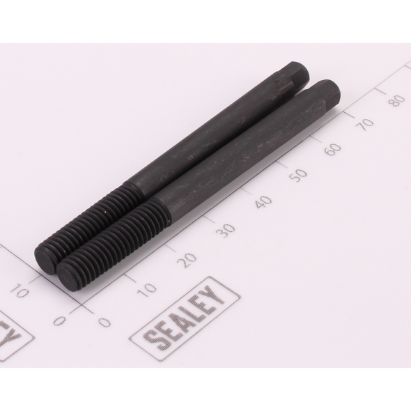 Sealey Extractor Base Screws (Set of 2)