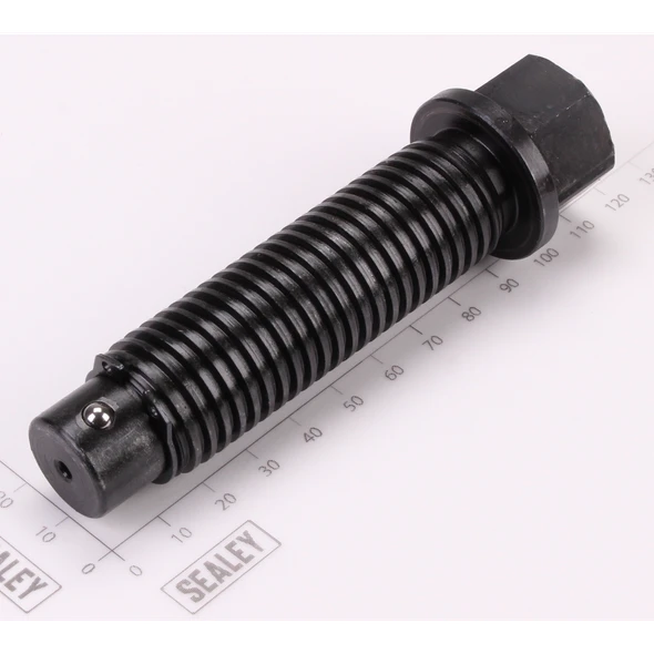 Sealey Screw