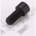 Sealey Screw