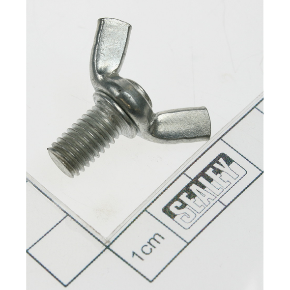 Sealey Screw