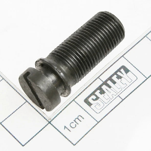 Sealey Safety screw