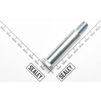 Sealey Tightening Bolt for Latch Pawl WHR1512.13