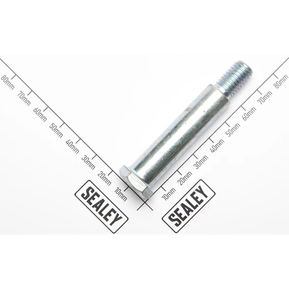 Sealey Tightening Bolt for Latch Pawl