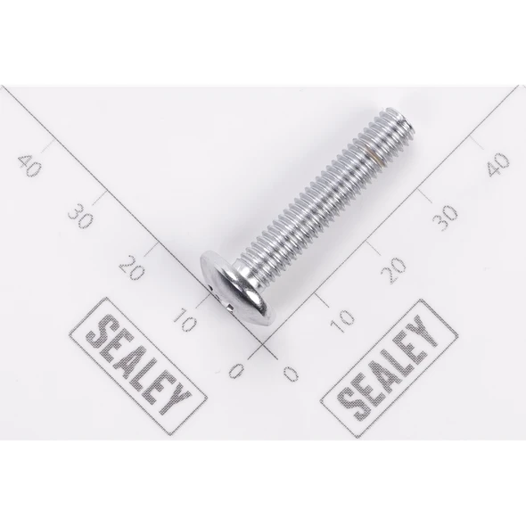 Sealey Phillips Screw 6mm