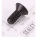 Sealey Screw