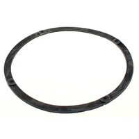 Sealey Large rubber gasket WP03204009