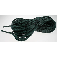 Sealey Lifting rope WP08502003