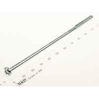 Sealey Rd head s/t screw m4 x 113 WPS060.V2-29