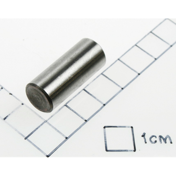 Sealey Pin
