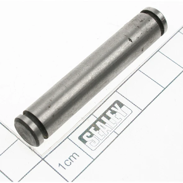 Sealey Pin