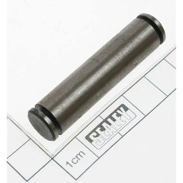 Sealey Pin