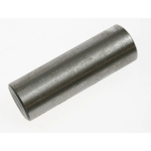 Sealey Pin