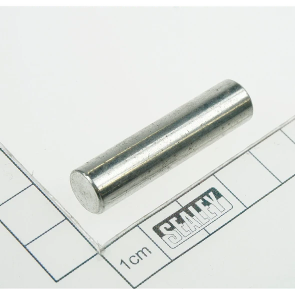 Sealey Spring pin