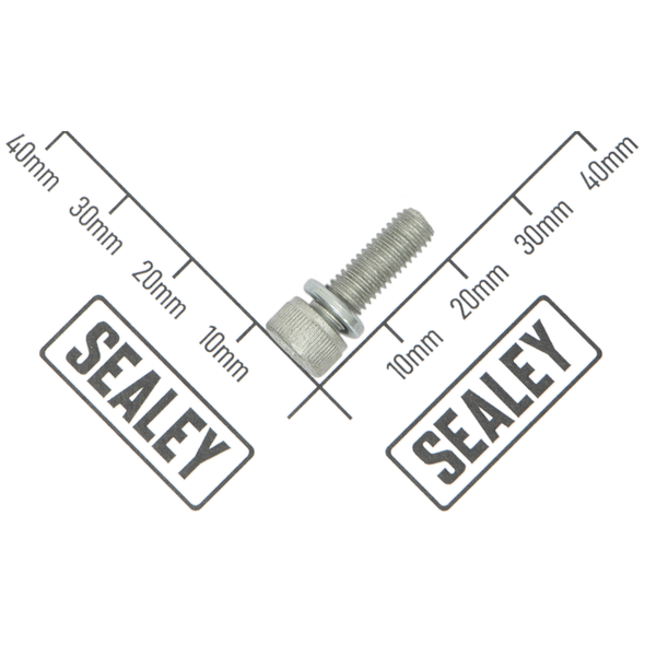 Sealey Screw