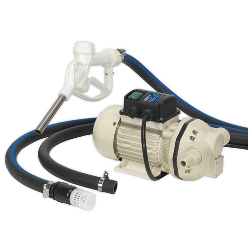 Sealey AdBlueï Transfer Pump Portable 230V TP99230 Sealey - Town Tools 