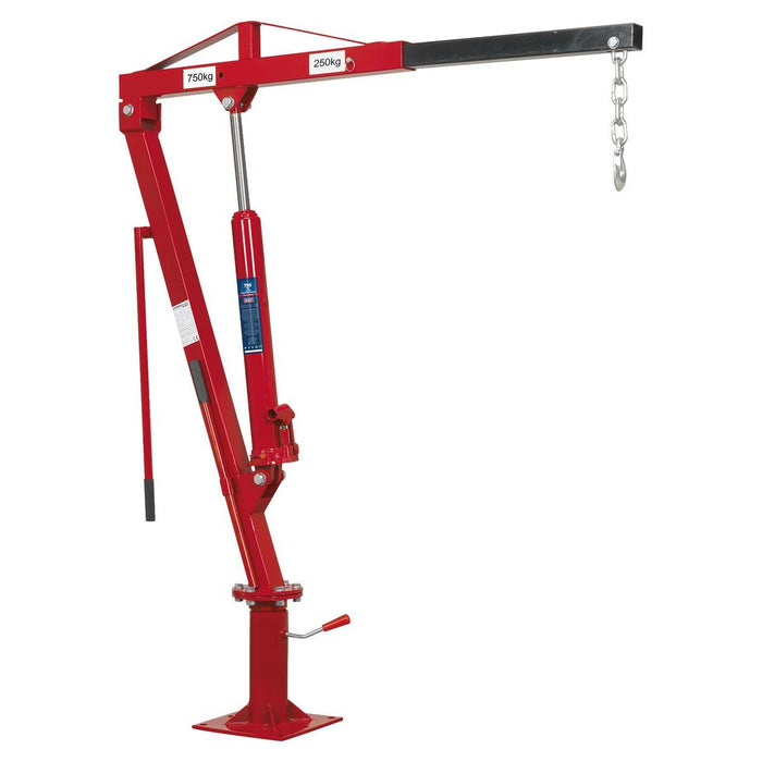 Sealey Static Mounted Crane 750kg SSC750 Sealey - Town Tools 