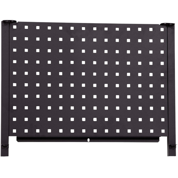 Sealey Back Board