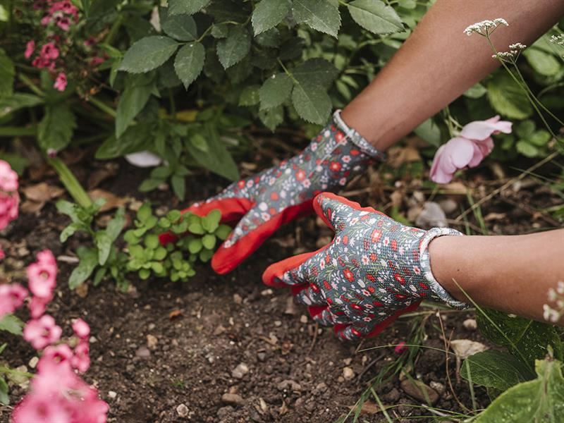 Kent & Stowe Weeding Gloves Triple Pack - Ladies Medium Kent & Stowe - Town Tools