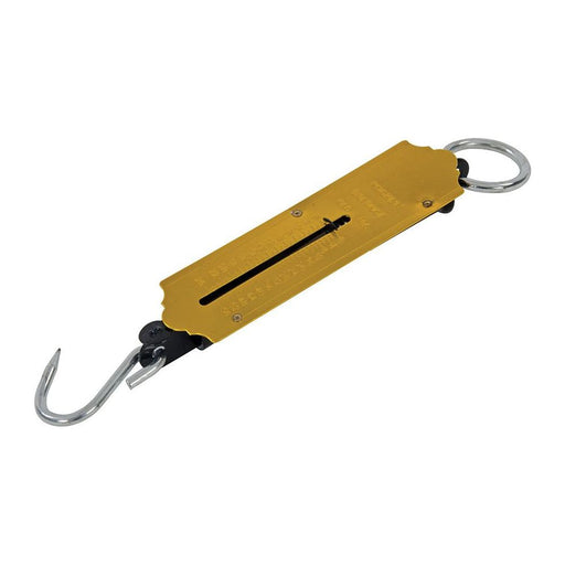 Silverline Spring Balance 25kg Silverline - Town Tools 