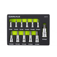 Carlyle Tools 12 Pc Star Plus Bit Socket Set