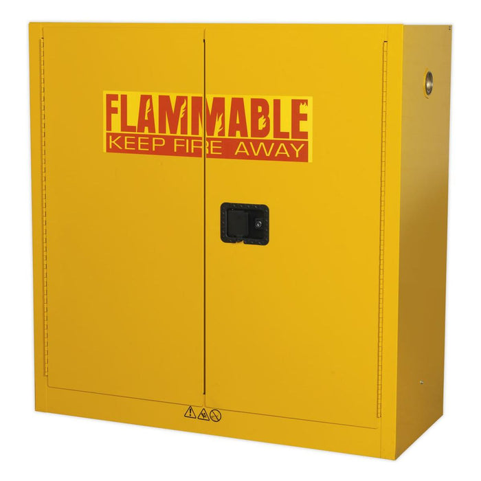 Sealey Flammables Storage Cabinet 1095 x 460 x 1120mm FSC09 Sealey - Town Tools 