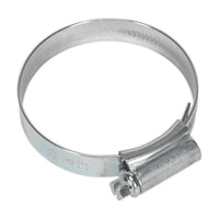 Sealey HI-GRIPï Hose Clip Zinc Plated45-60mm Pack of 20 HCJ2X