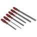 Sealey Premier Premier Rasp File Set 6pc AKR06 Sealey Premier - Town Tools 
