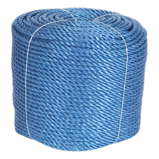 Sealey Polypropylene Rope10mm x 220m RC10220 Sealey - Town Tools 