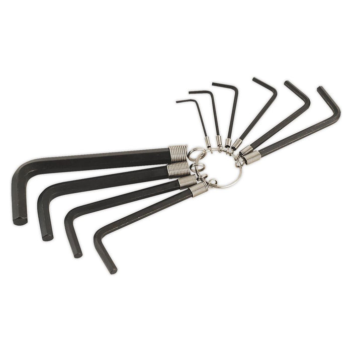 Sealey Hex Key Set on Ring 10pc Metric AK6148 Sealey - Town Tools 