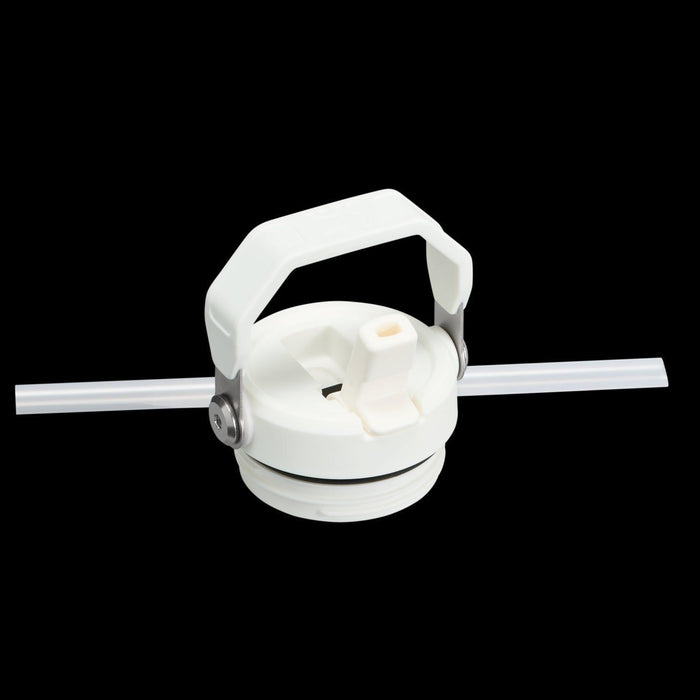 Stanley IceFlow Bottle Flip Straw 2.0 0.7L Stanley - Town Tools