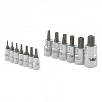 Carlyle Tools 13Pc  Torx Bit Socket Set