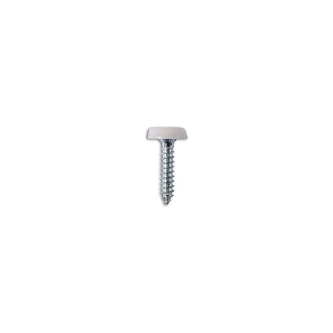 Connect Number Plate Screw 10 x 1" White Polytop 100pc 31546 Tool Connection - Town Tools 