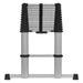 Sealey Aluminium Telescopic Ladder 13-Tread EN 131 ATL13 Sealey - Town Tools 