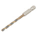 Dewalt Power Tools BLACK&GOLD Hex HSS-G Drill Bit 4.0mm DeWALT Power Tools - Town Tools