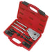 Sealey Diesel Injector Puller Citroen Peugeot VS2005 Sealey - Town Tools 