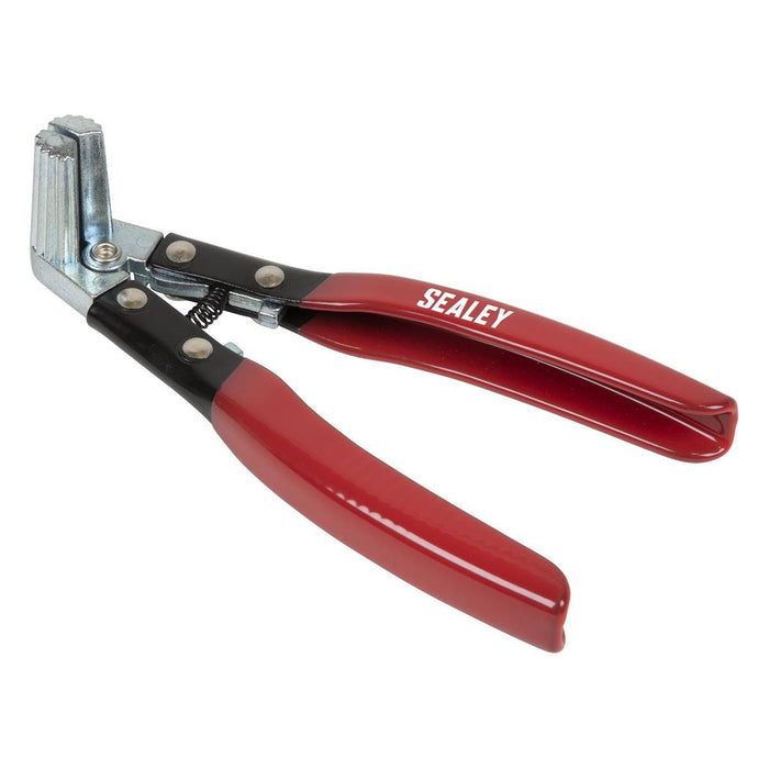 Sealey Terminal Spreader & Cleaner Tool Battery AK423 Sealey - Town Tools 