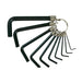 Teng Tools Hex Key Set 10 Pieces Teng Tools - Town Tools 