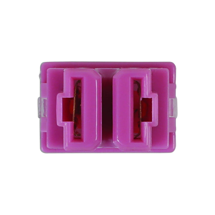 Connect Female PAL Fuses 30A 10pc 30476 Tool Connection - Town Tools 