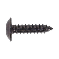 Sealey Self Tapping Screw 4.8 x 19mm Flanged Head Black Pozi Pack of 100 BST4819