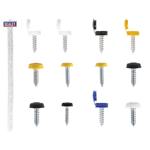 Sealey Clip Strip Deal - Mixed Numberplate Screws NPSSET Sealey - Town Tools 