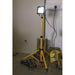 Sealey Telescopic Floodlight 20W Smd Led 110V Sealey - Town Tools 