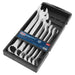 Sealey Combination Spanner Set 6pc Jumbo Metric AK63259 Sealey - Town Tools 