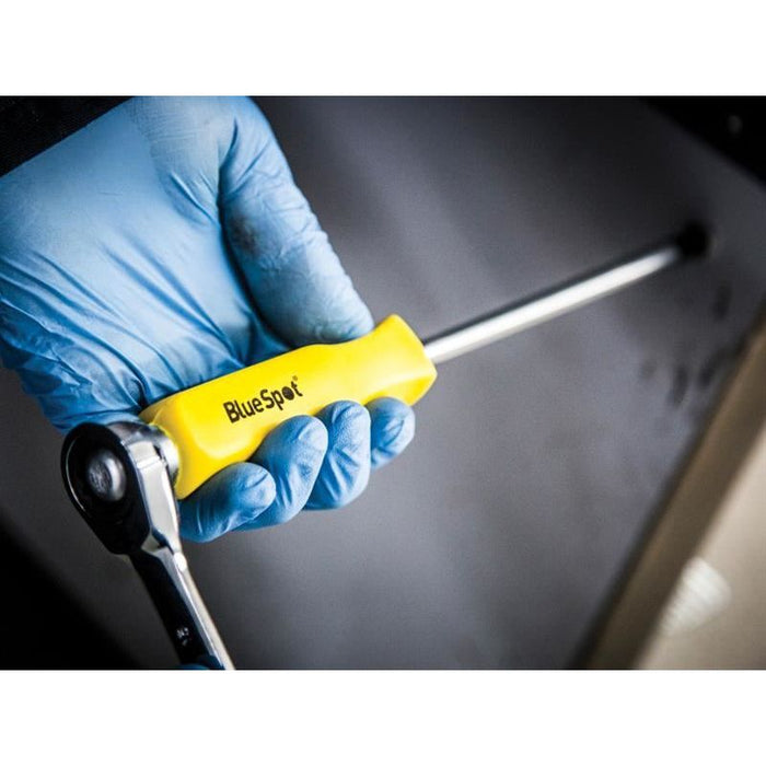 Bluespot Tools Hex Drive Screwdriver Set,12 Piece BlueSpot Tools - Town Tools