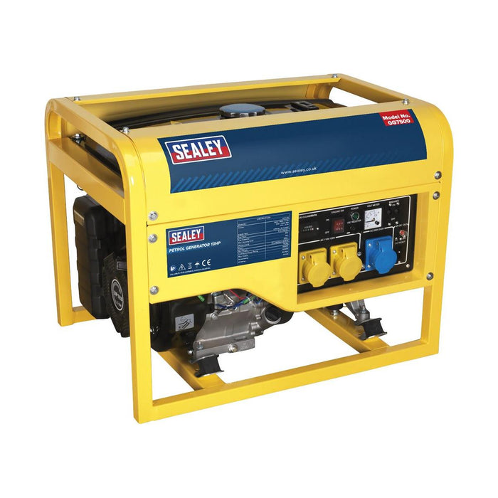 Sealey Generator 6000W 110/230V 13hp GG7500 Sealey - Town Tools 