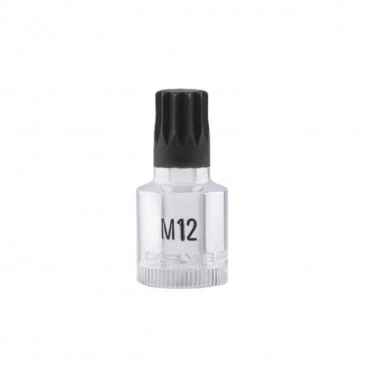 Carlyle Tools 3/8Dr M12 Multispline Bit 48mm Long - image 1