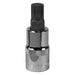 Sealey Spline Socket Bit M12 1/2"Sq Drive SBS016 Sealey - Town Tools 