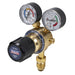 Sealey SGA30 Oxygen Regulator Sealey - Town Tools 