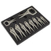 Sealey Locking Pliers Set 10pc AK6800 Sealey - Town Tools 