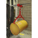 Sealey Forklift Lifting Hoist 1000kg Capacity FH01 Sealey - Town Tools 