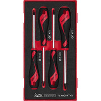 Teng Tools Screwdriver Set TX FOAM1 4 Pieces